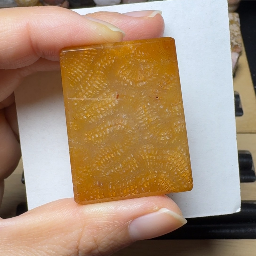 硅化玉糖龙骨纹未镶嵌