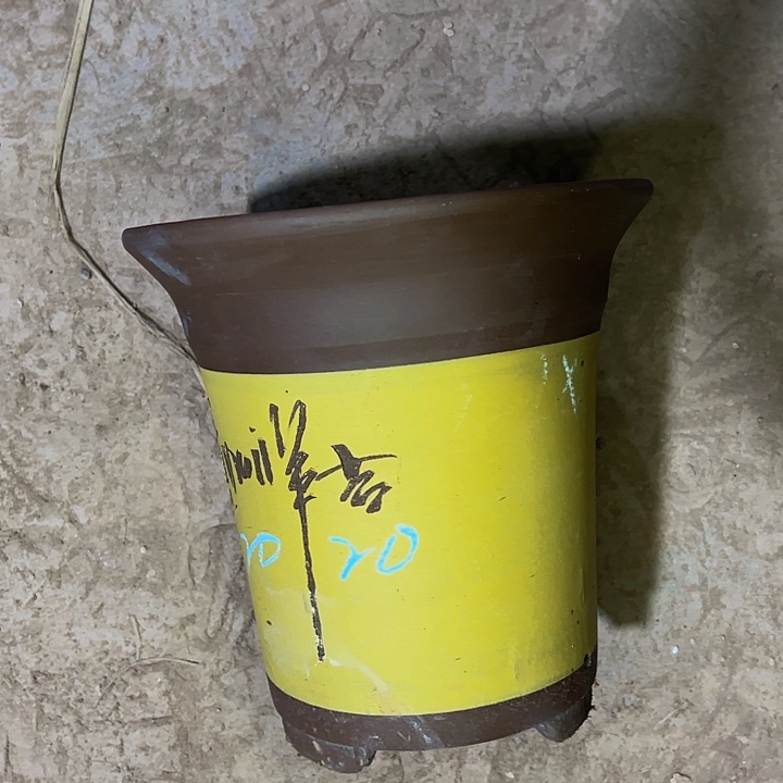 紫砂艺术学院美术