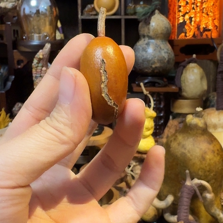 水***鱼大叶紫檀（黑酸枝木类）