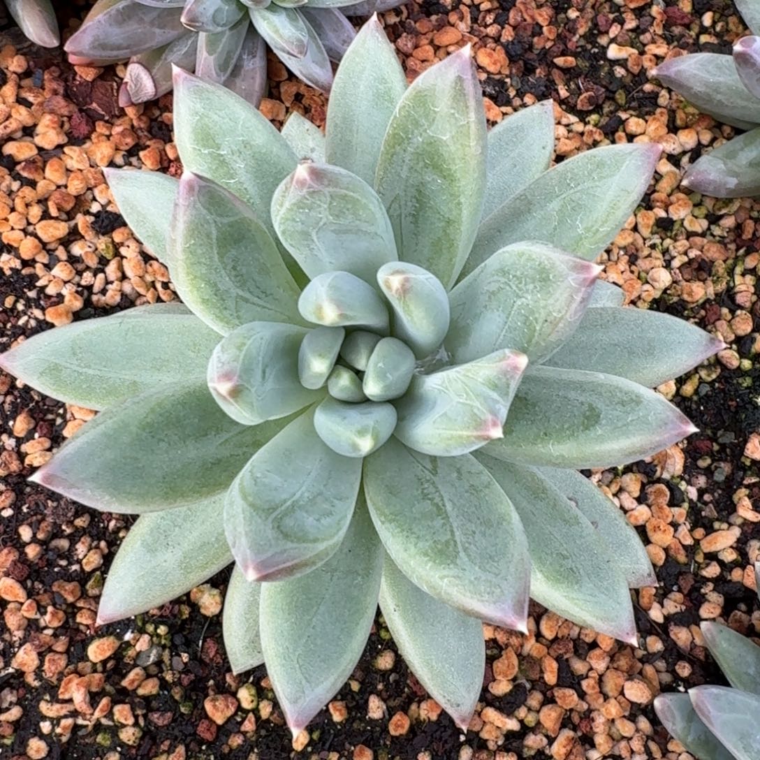 啊啊啊啊啊啊啊啊啊