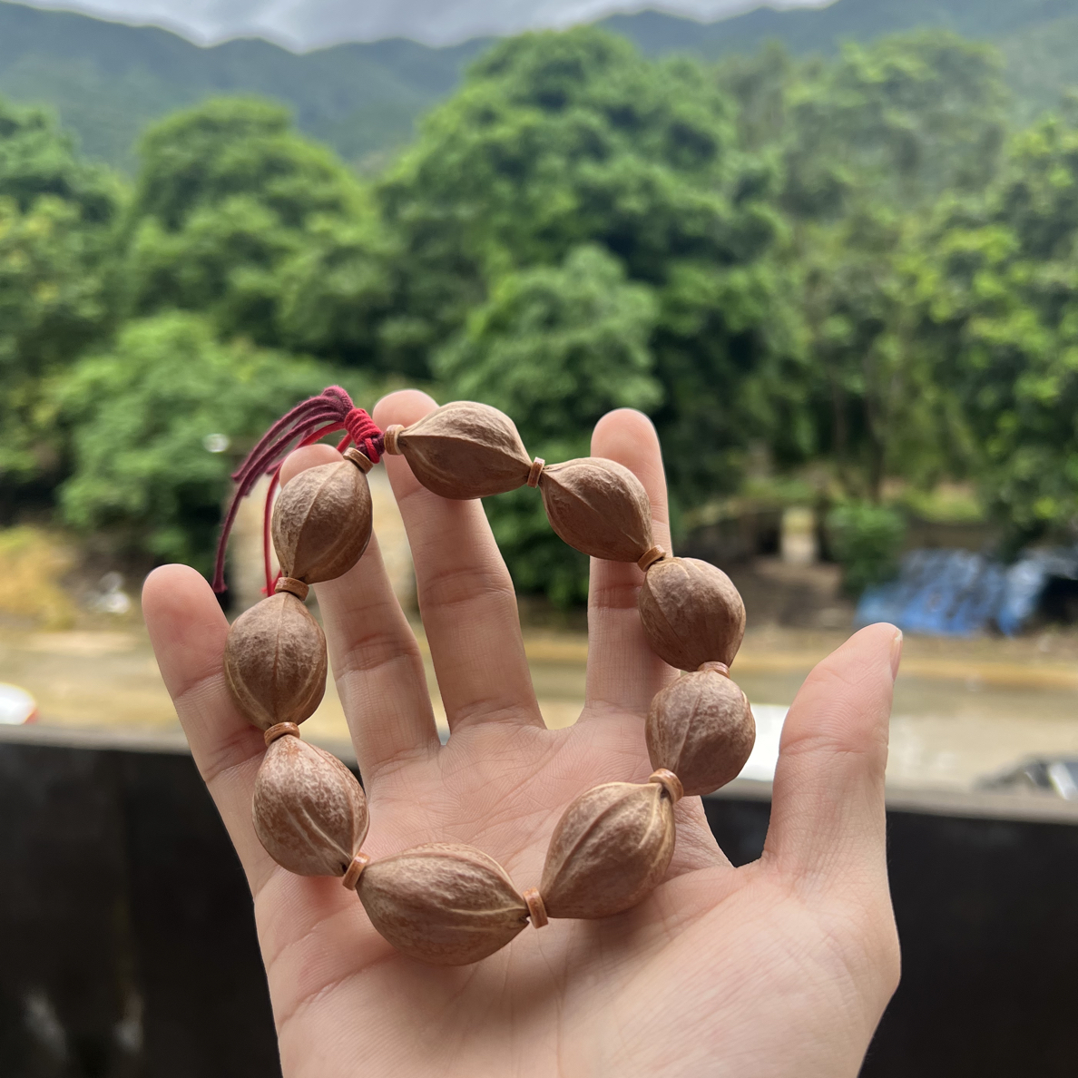 19*28原生态头货自然风格梅林铁核素串