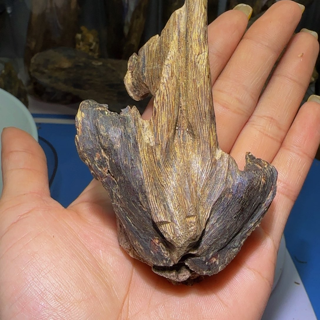 沉香手把件小*沉香奇楠野生大留疤26.9克