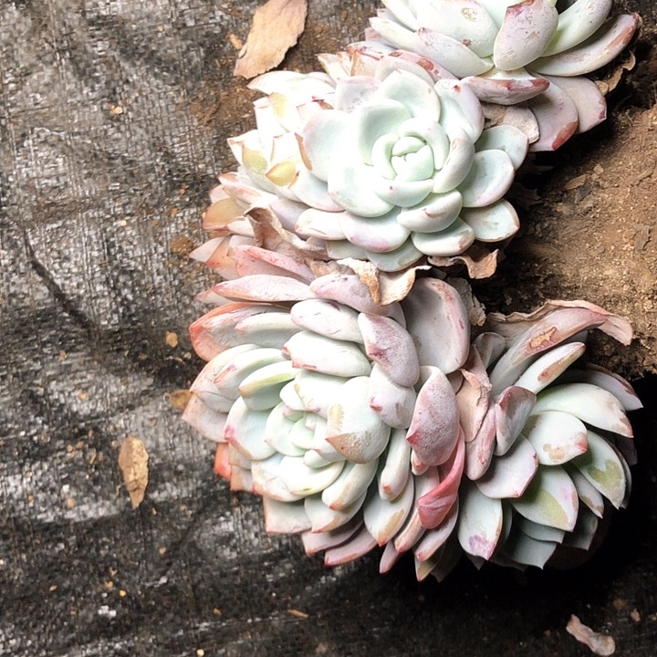 开*、30///////////////////