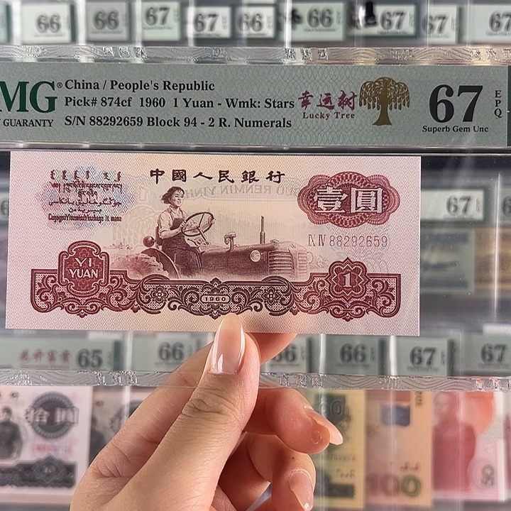 幸运树福利福利包邮