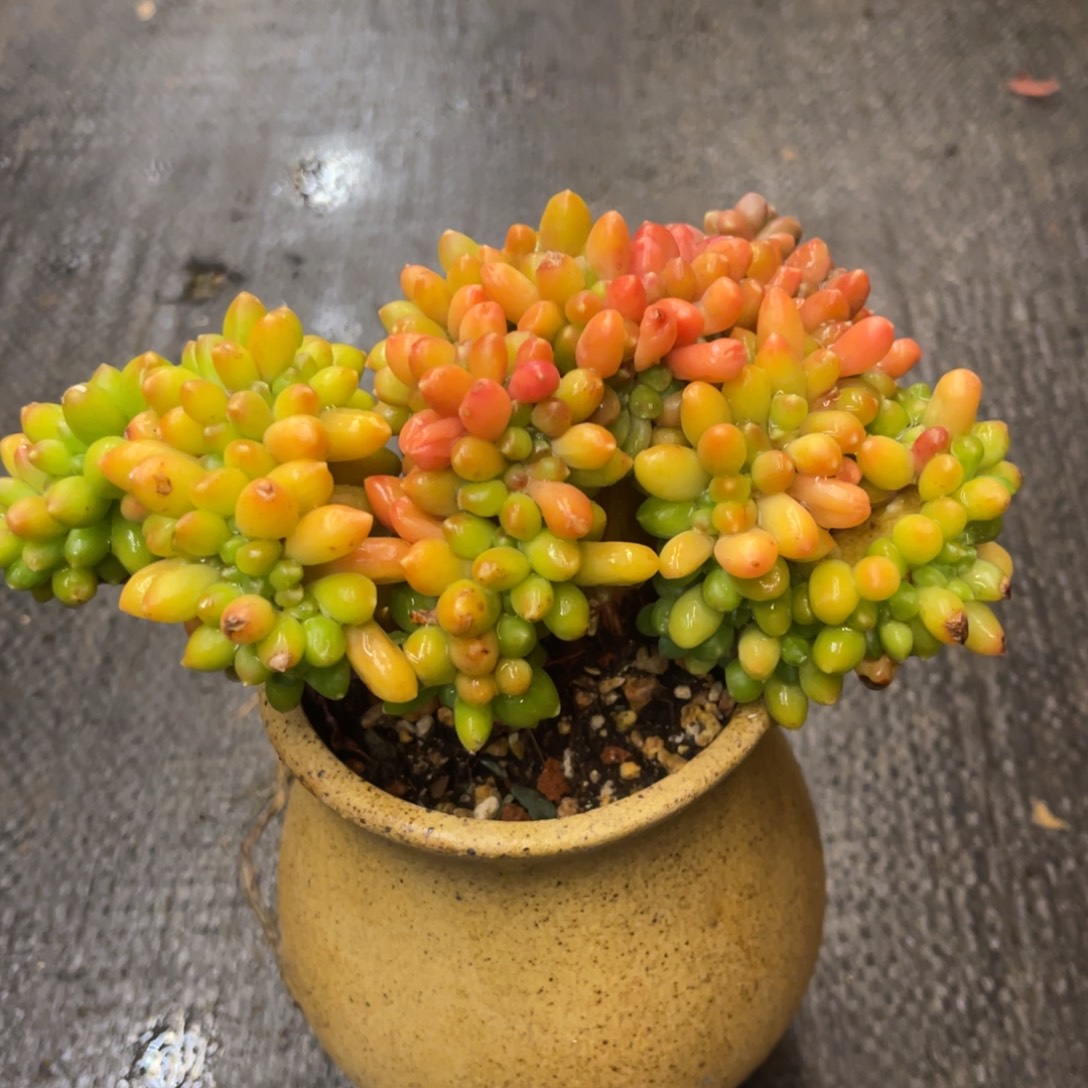 @****868668868686868686