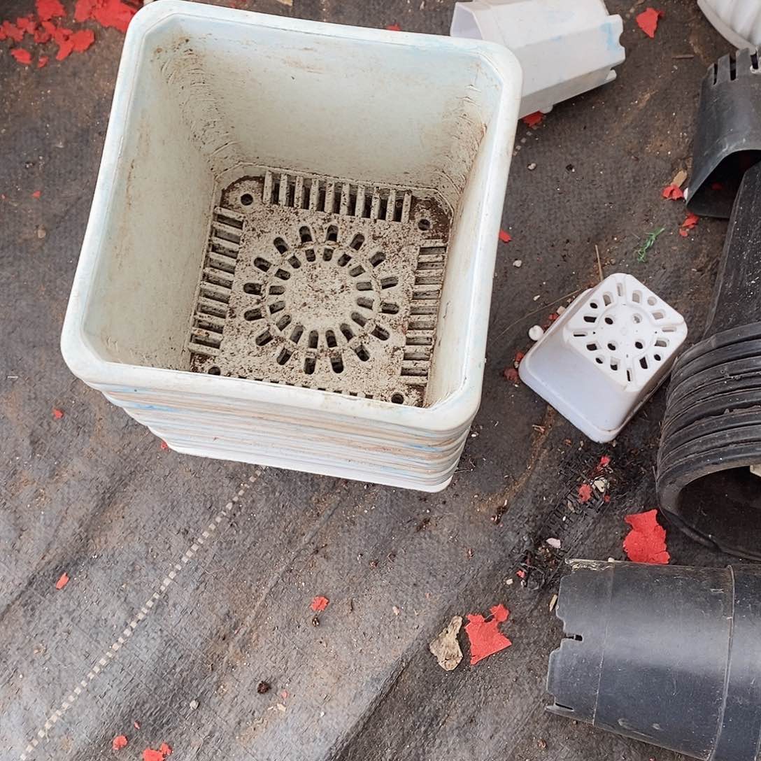 塑料旧14公分白方盆15个 