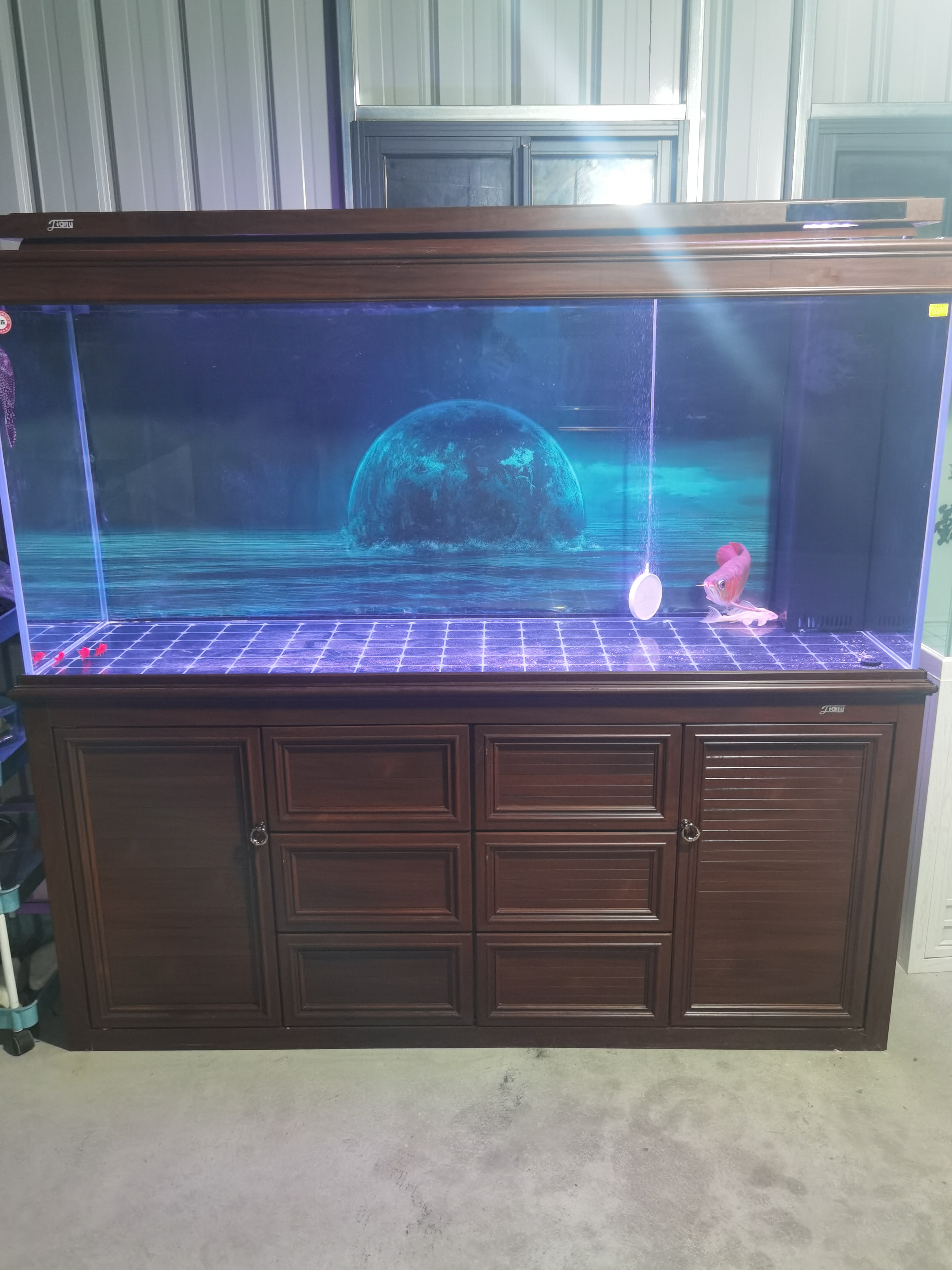 新中式大型客厅家用生态龙鱼缸水族箱带隔断屏风免换水底过滤