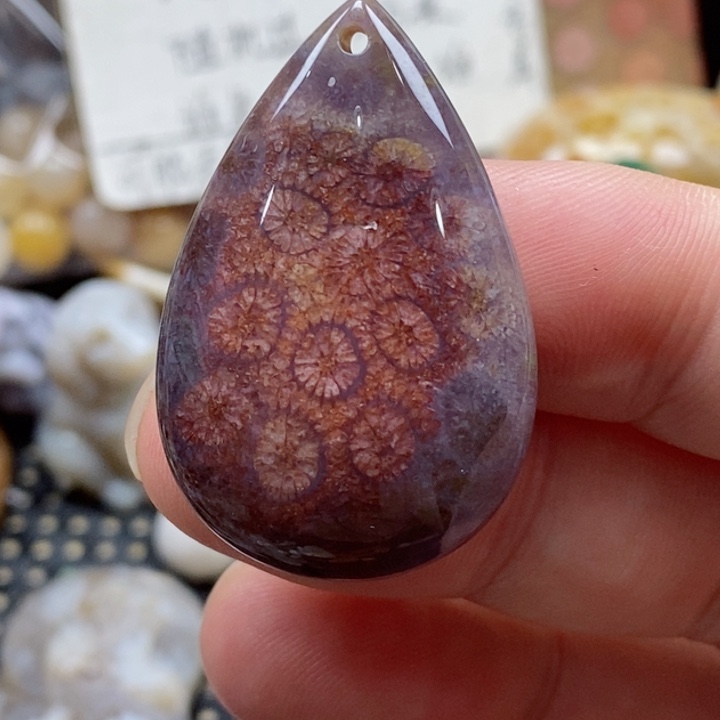 硅化珊瑚（珊瑚玉）颈饰未镶嵌小吊坠