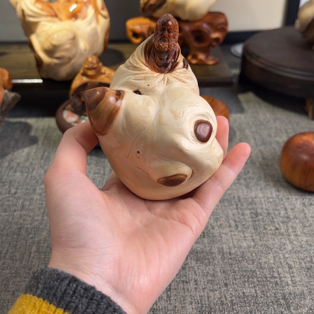 雪***佳柏木（崖柏）关注一下