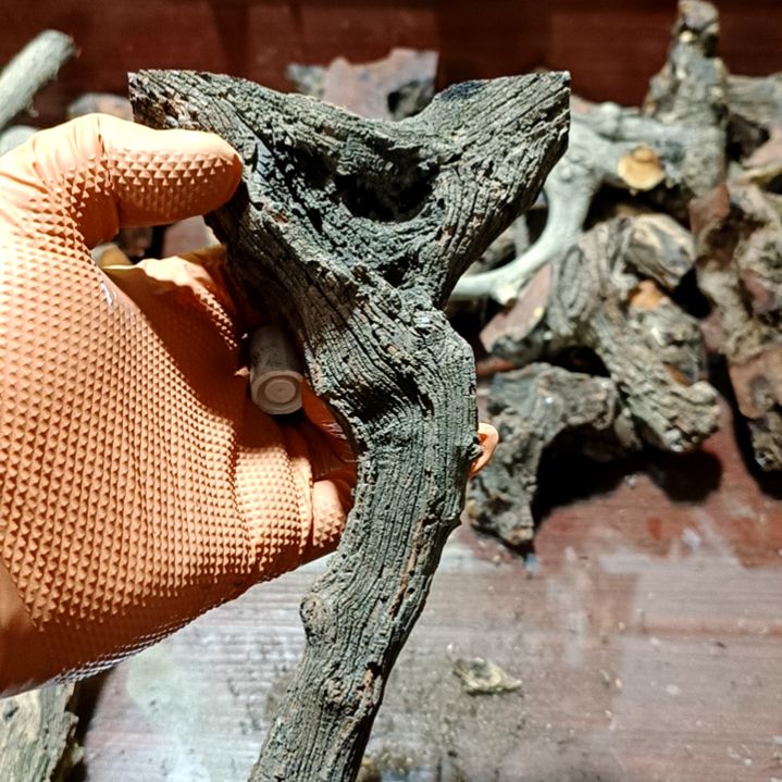 今***缘香榧木火琉璃疙瘩毛料毛料