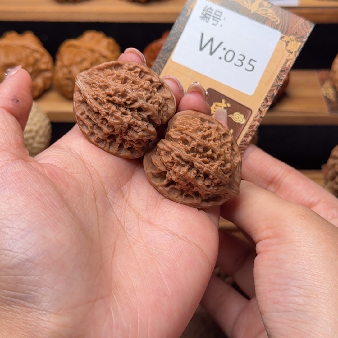 核桃w035满天星3.6全品