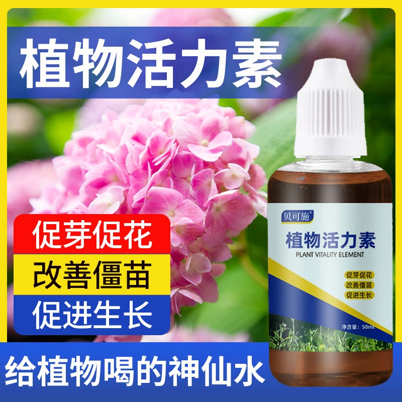 贝可施植物生长活力素养花用的浓缩通用型营养液花卉醒花