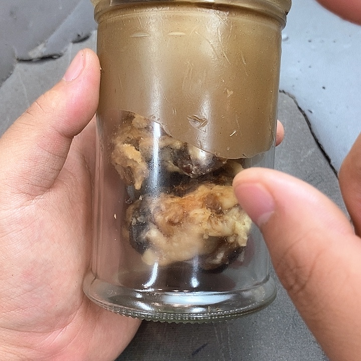 非洲紫檀（红花梨）4444