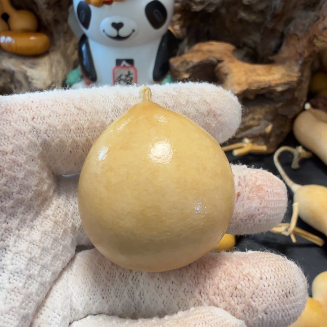 *****666666666666666666676