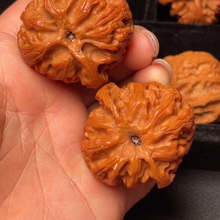 文玩核桃把件秦岭野生核桃