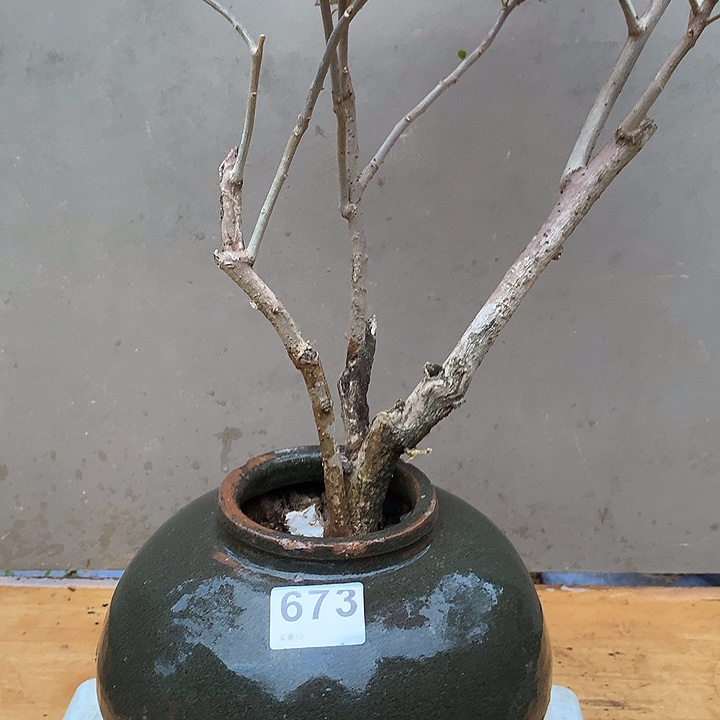 颈饰玻璃美****忧000673