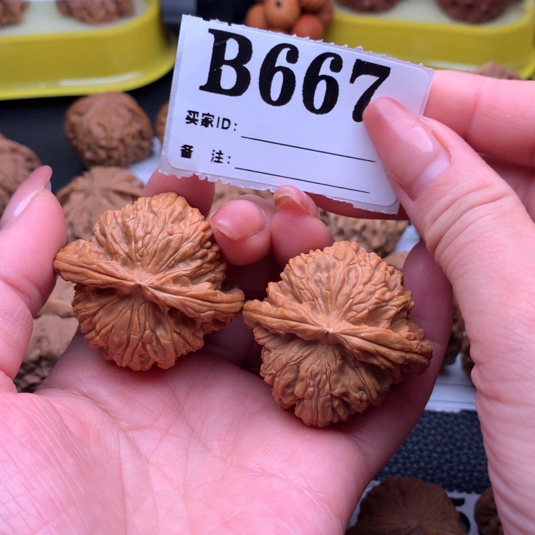 文玩核桃吊坠白狮667链接41尺全