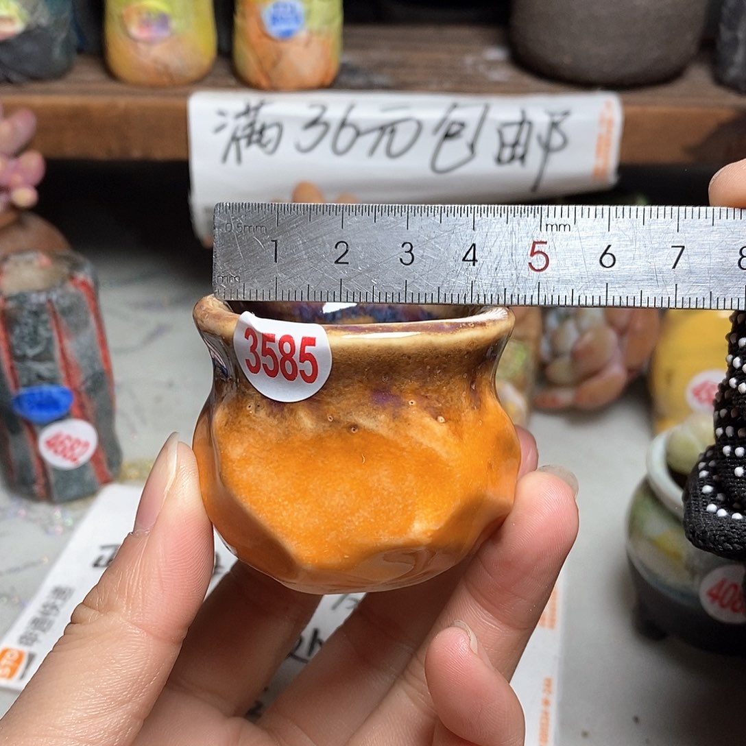 红陶拍5送一个小