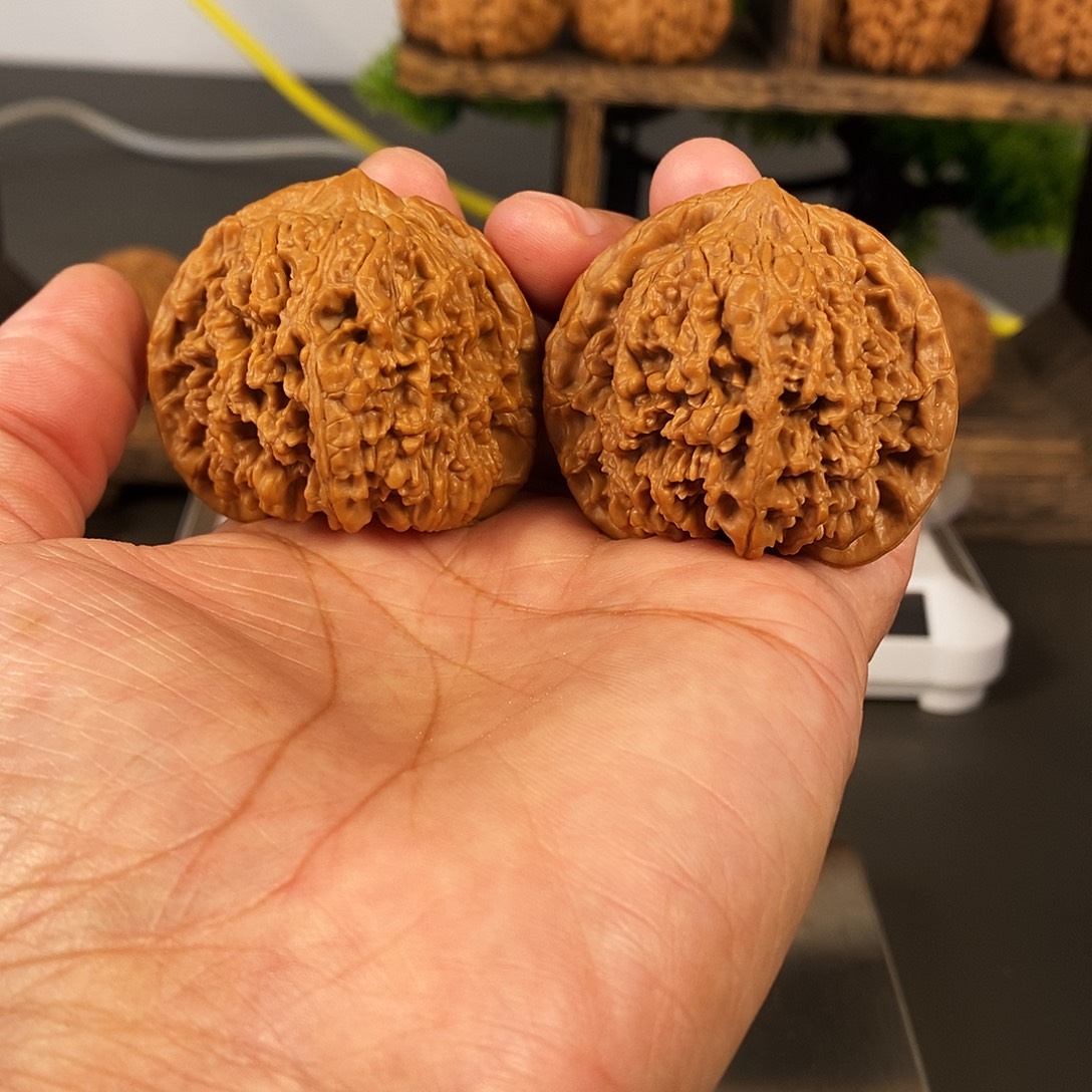 把件文玩核桃老树红皮满天星骨质超棒