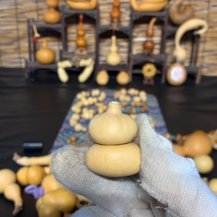 梨等经济林作物中含有多种植物