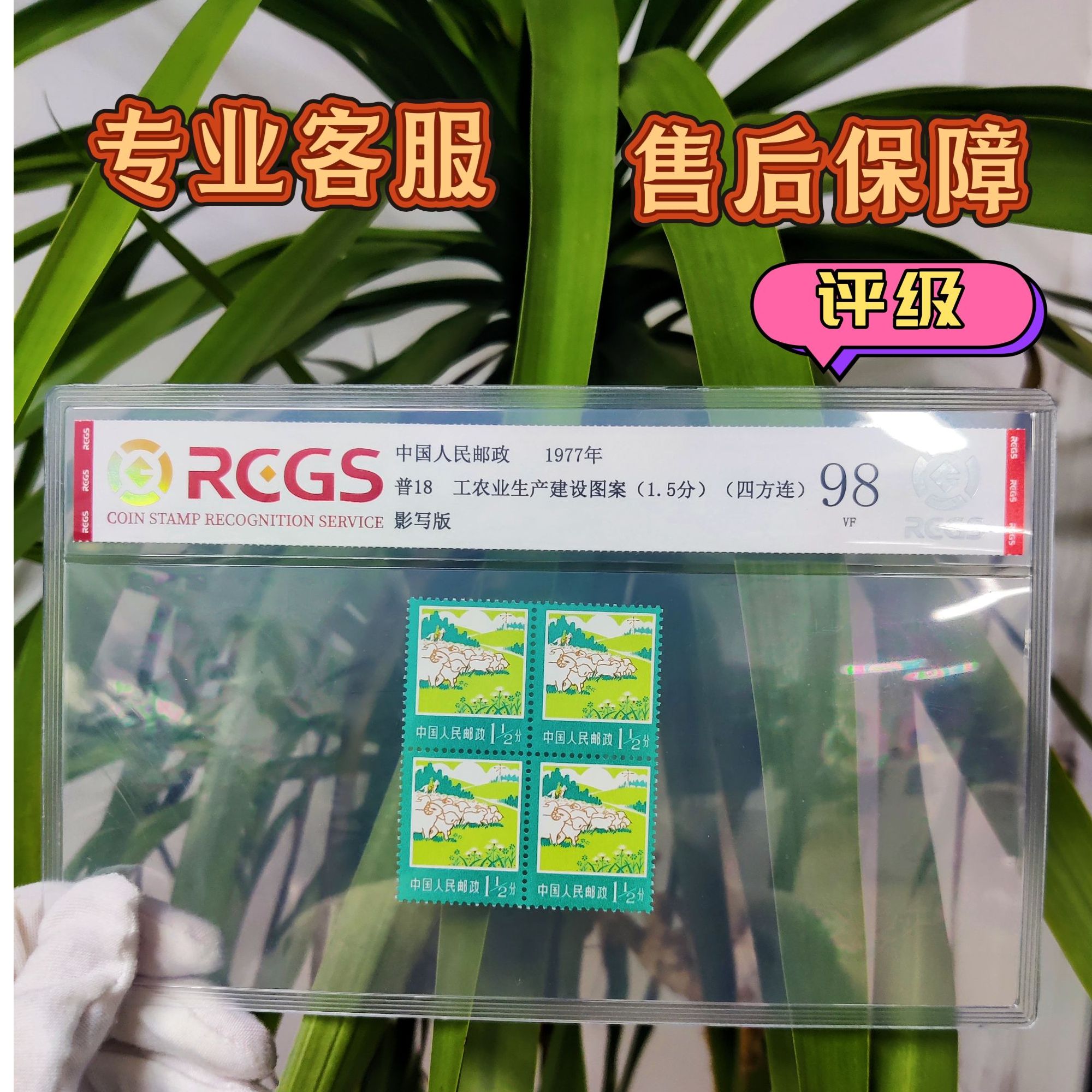 普18牧业四方连邮票