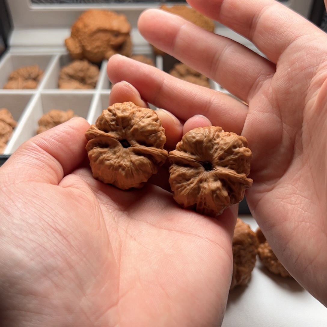 核桃把件延庆蛤蟆头