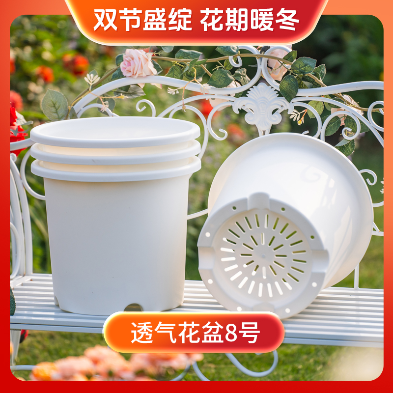 【双节盛绽】天狼 8号花盆 透气透水防烂根月季铁线莲植物通用