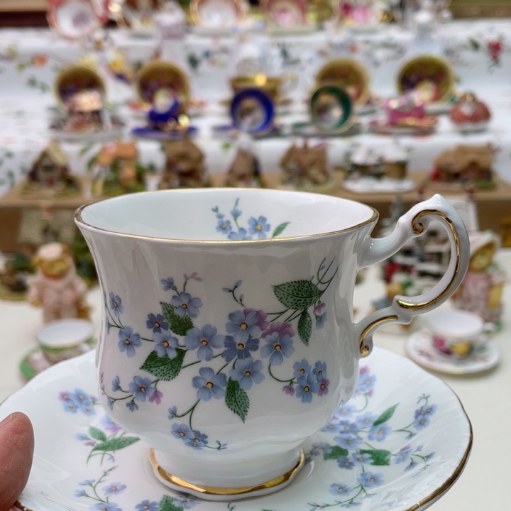 盘维多利亚欧洲中古