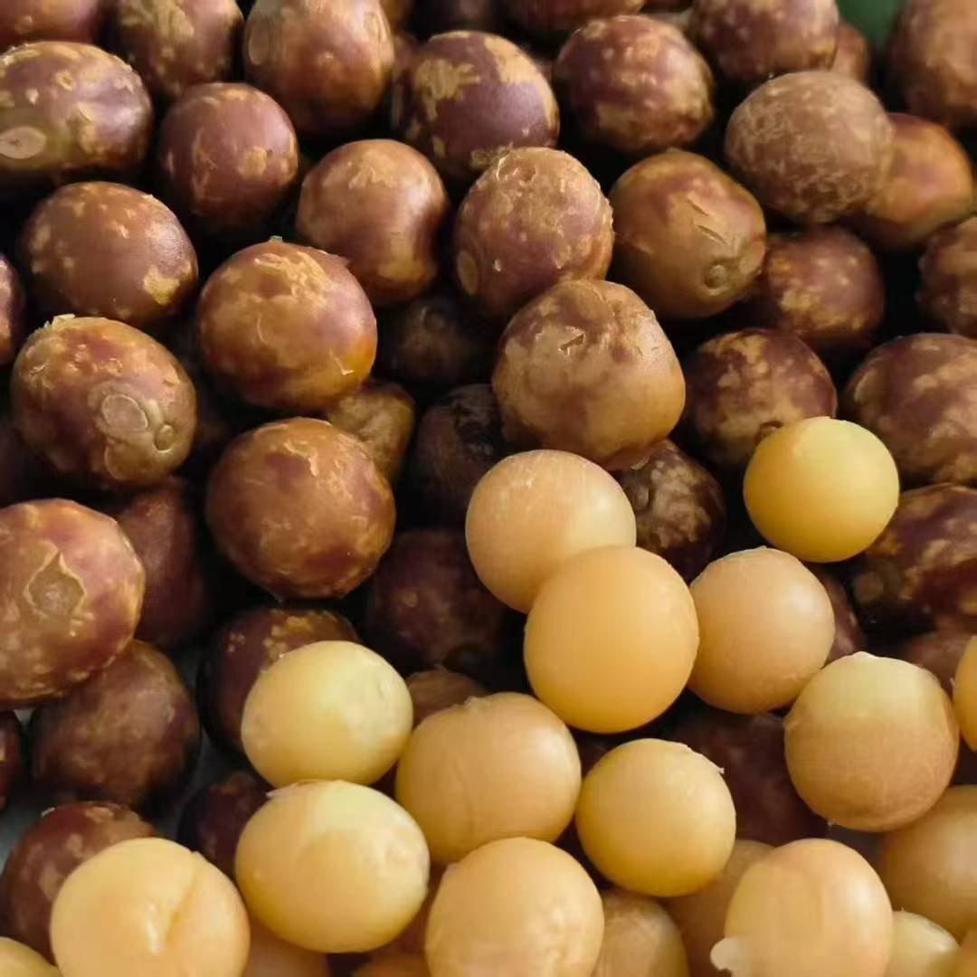 【林林】打磨款中果  新鲜带壳 11mm左右