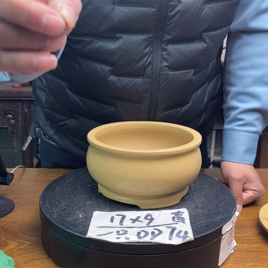 红陶货号一只DD74