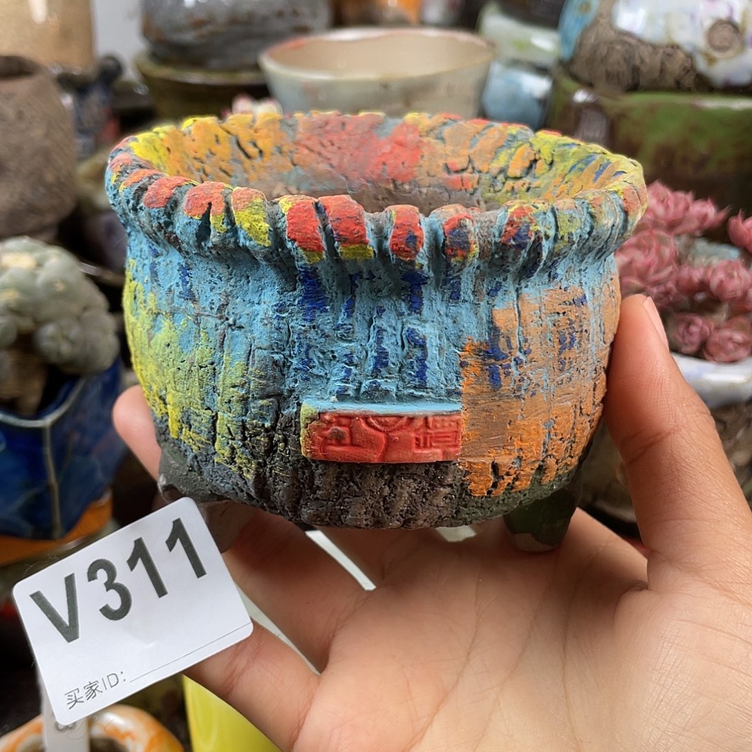 默认微次 跨年福利 坛子姐花盆