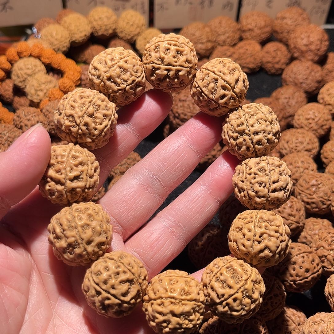 金刚菩提手串7瓣24。11号