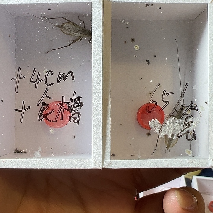 陈***俊哈哈哈哈哈哈哈哈哈哈