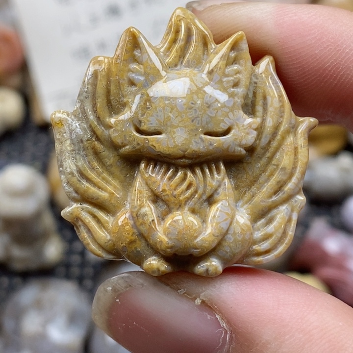 颈饰未镶嵌硅化珊瑚（珊瑚玉）小