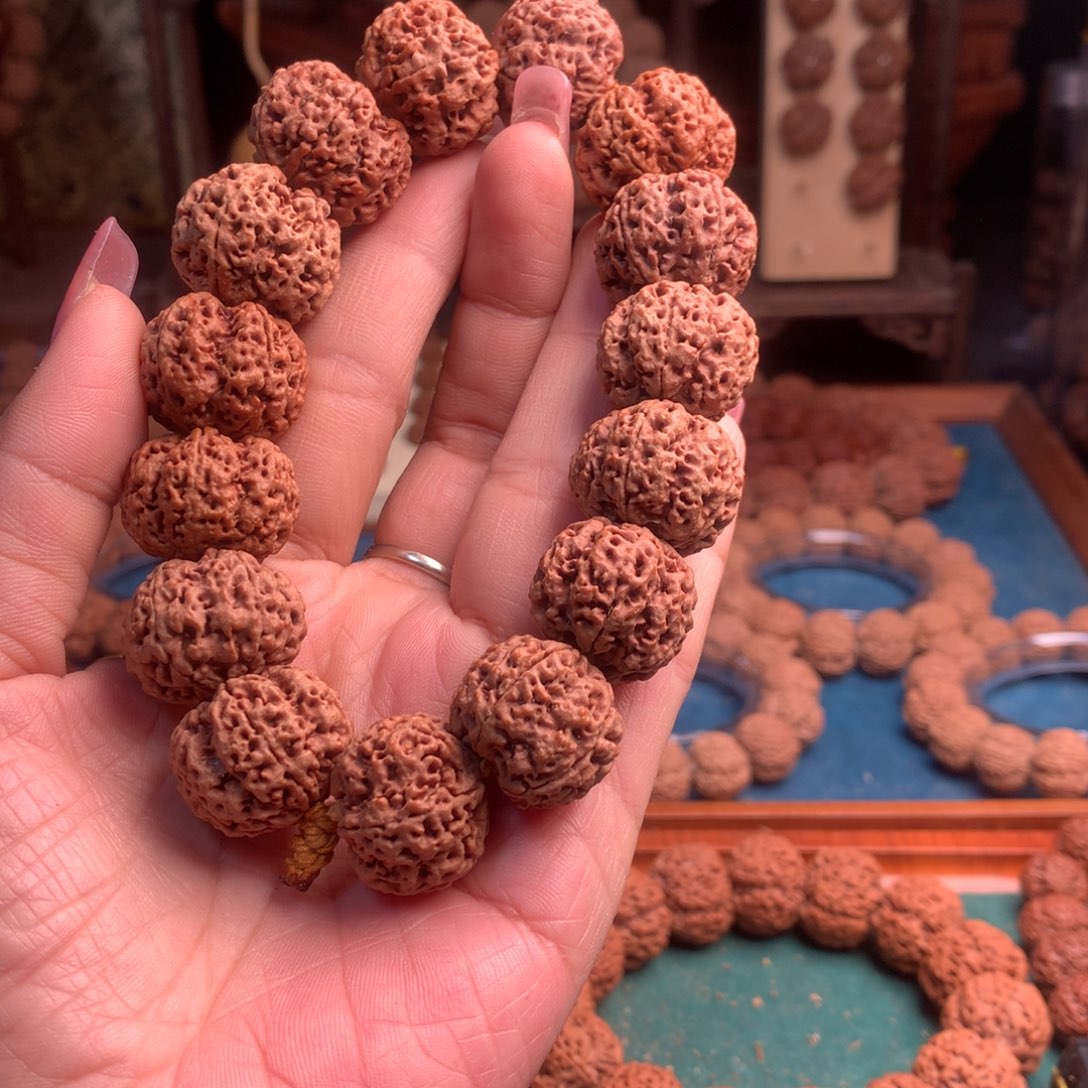 手串金刚菩提梁产区梅花