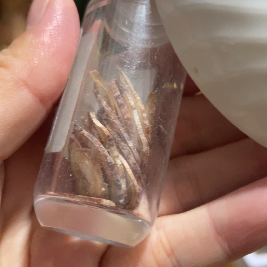 瓷片88788799989799