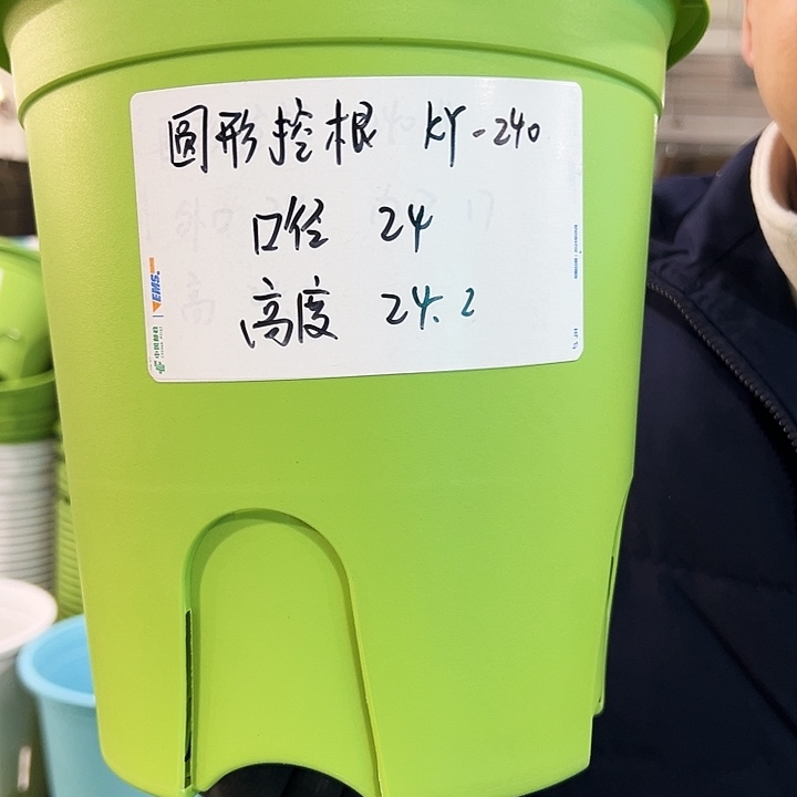 正品圆控口24高24果绿色5个无托