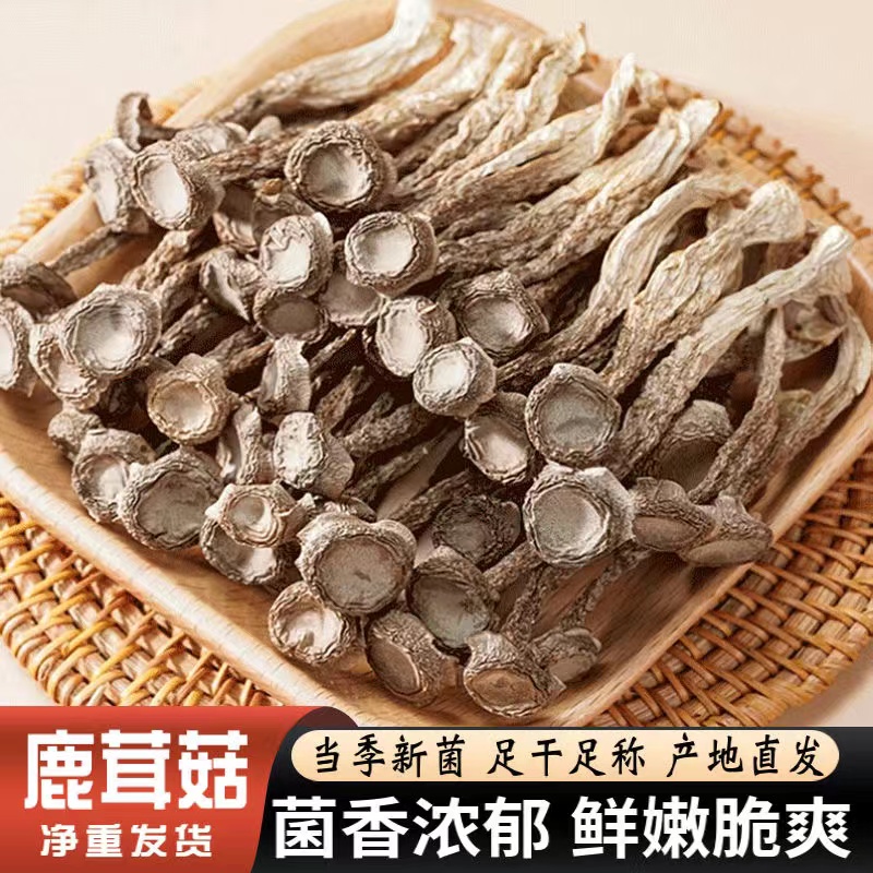 鹿茸菇山珍干货高山菌菇脆脆菇炒菜炖煲鸡汤食材炒肉炖汤鲜香美味