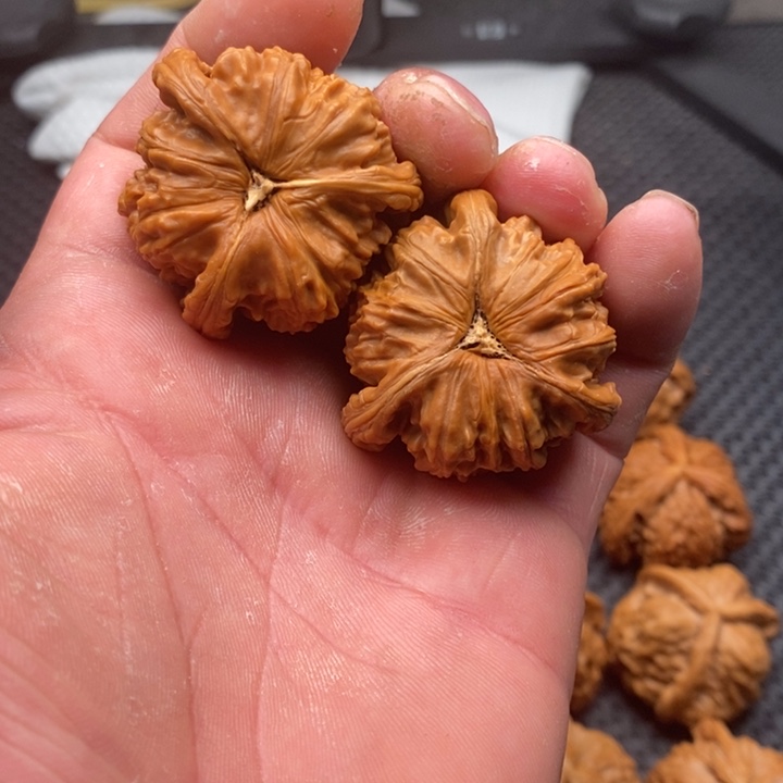 核桃把件༺****༻拼接白狮子8