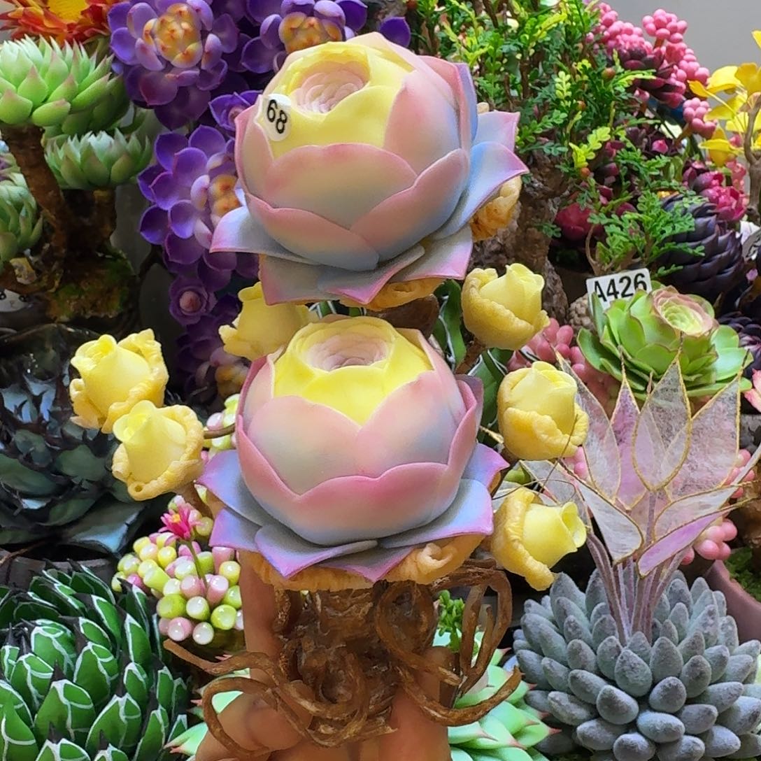 山地玫瑰888888888