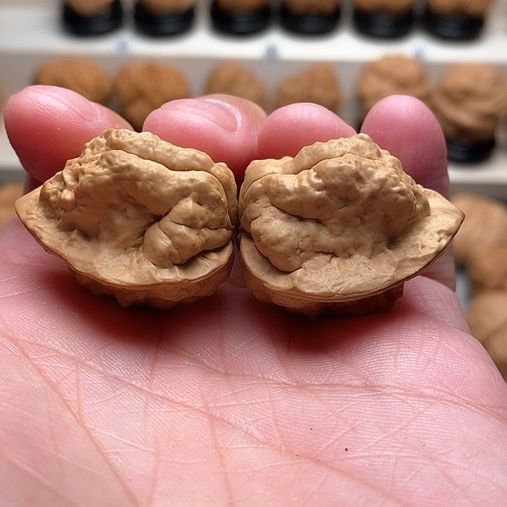 文玩核桃把件…………………………