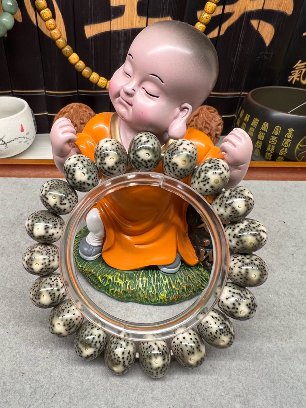 15胖苹果海南原生态星月菩提