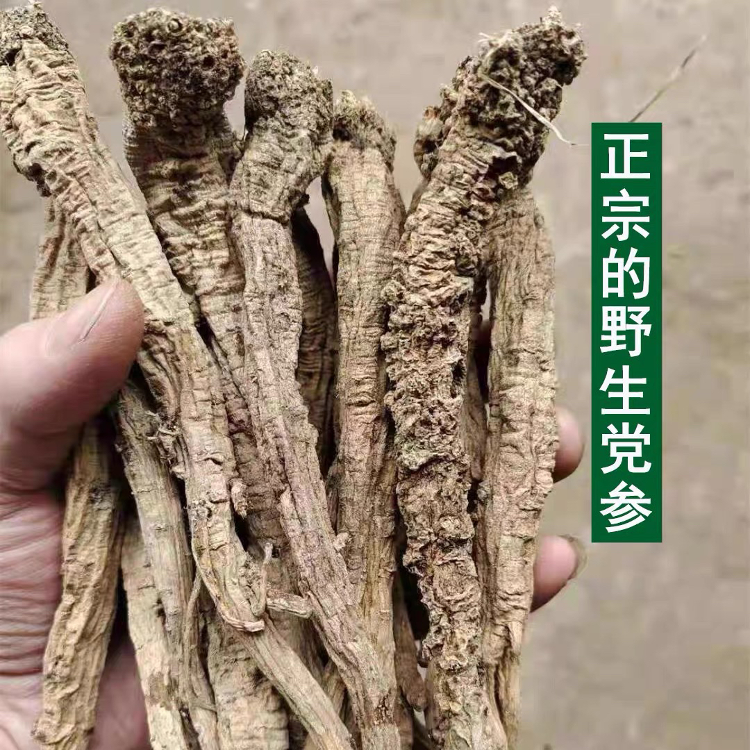 甘肃深山采挖老党参新货无硫干货可用于炖肉泡水煲汤100克包邮