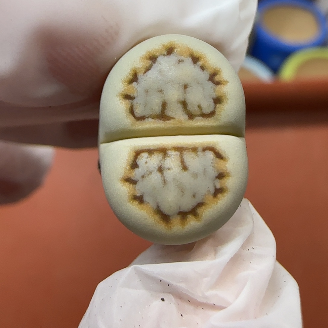 12.23.1621.6糖霜饼干.9011