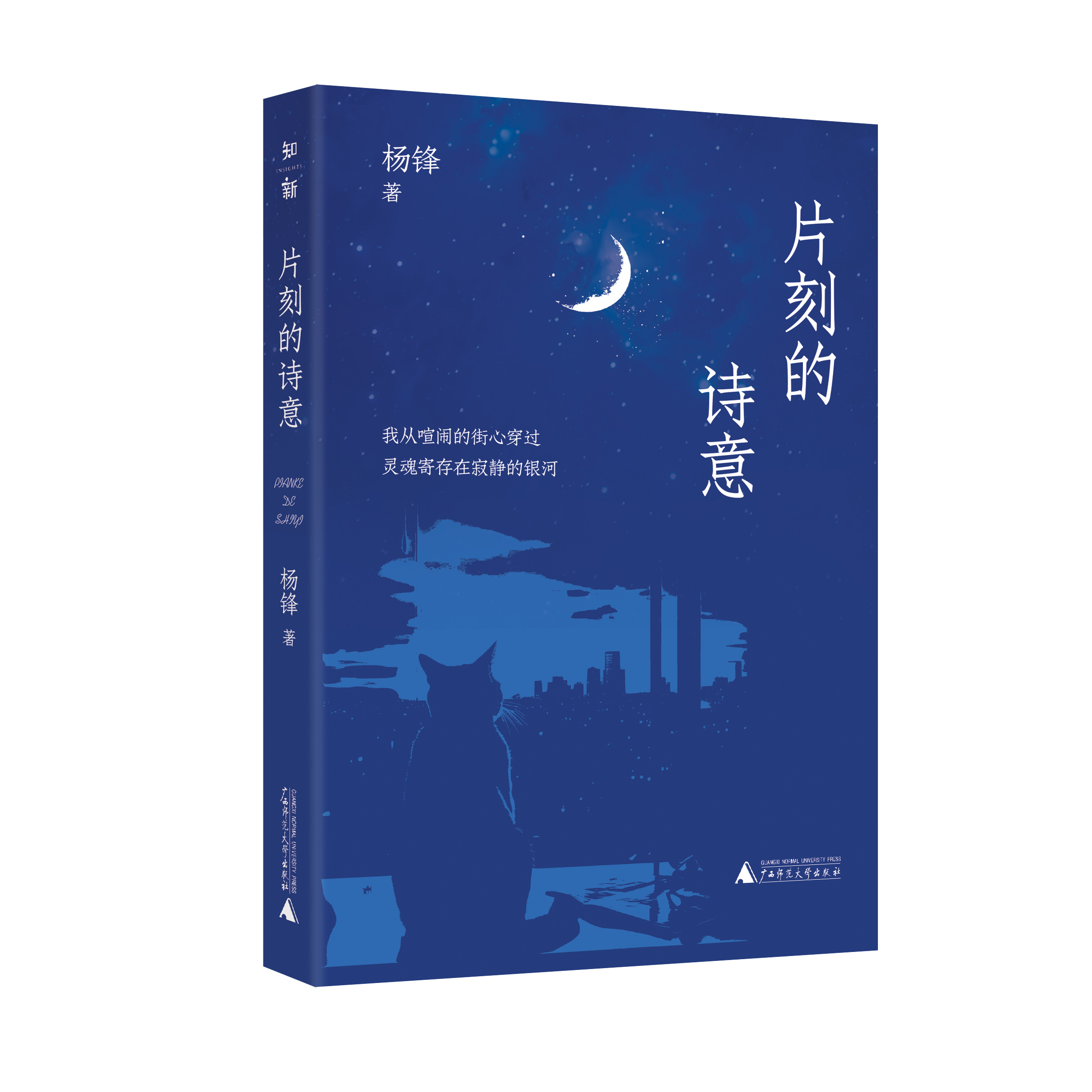 片刻的诗意 杨锋/著 广西师范大学出版社