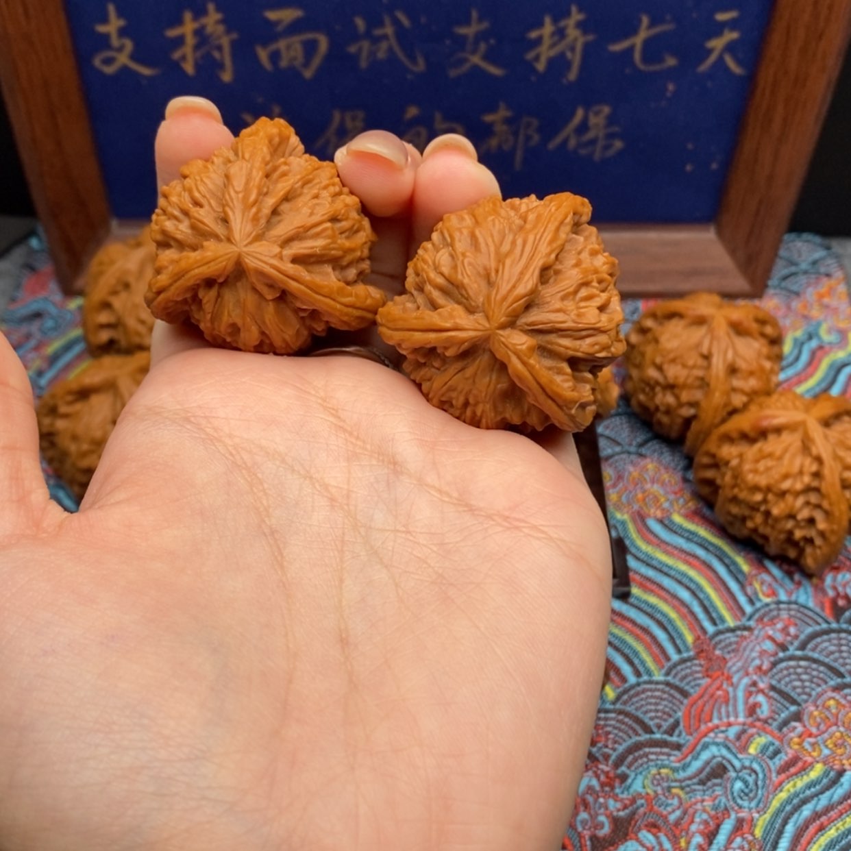 【闪购商品】逆*沙白狮