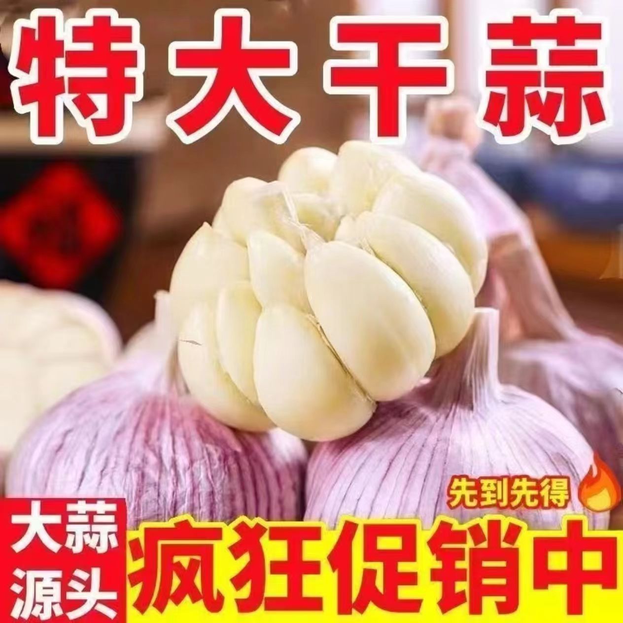 【紫白皮非紫皮】大瓣蒜干蒜辛辣十足可用于调味个大饱满