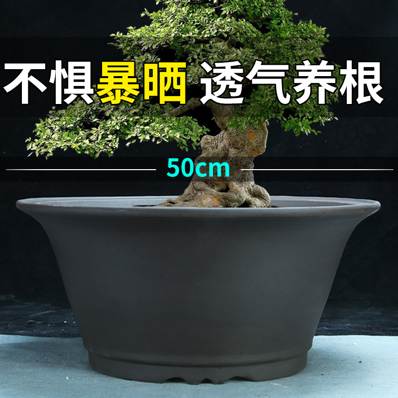 特大号圆盆种树紫砂花盆清仓庭院室内50Cm以上超大陶瓷盆景盆