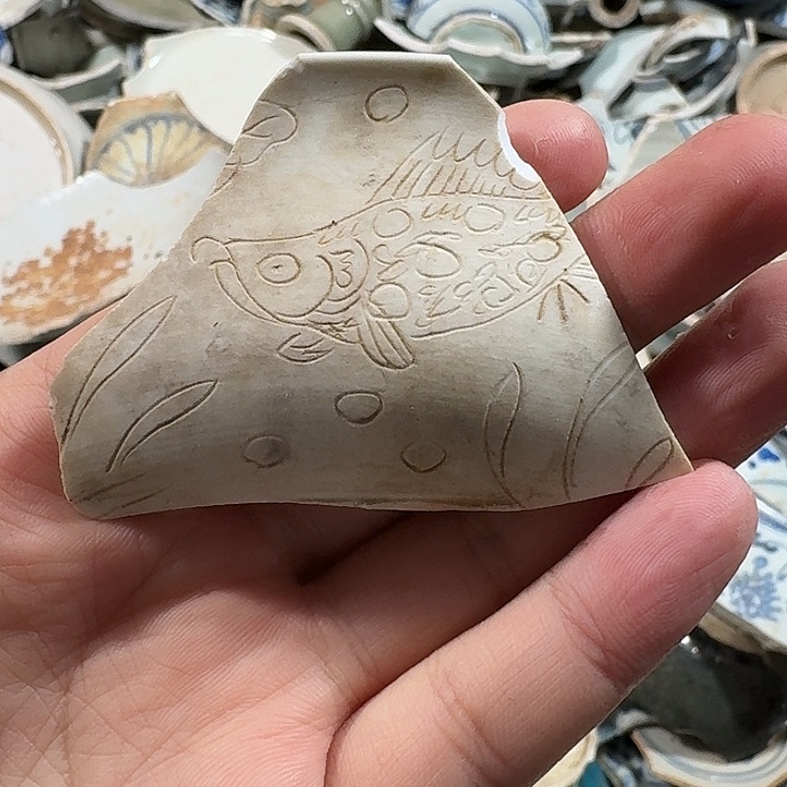 望***饿瓷片瓷片标本，顺丰包邮