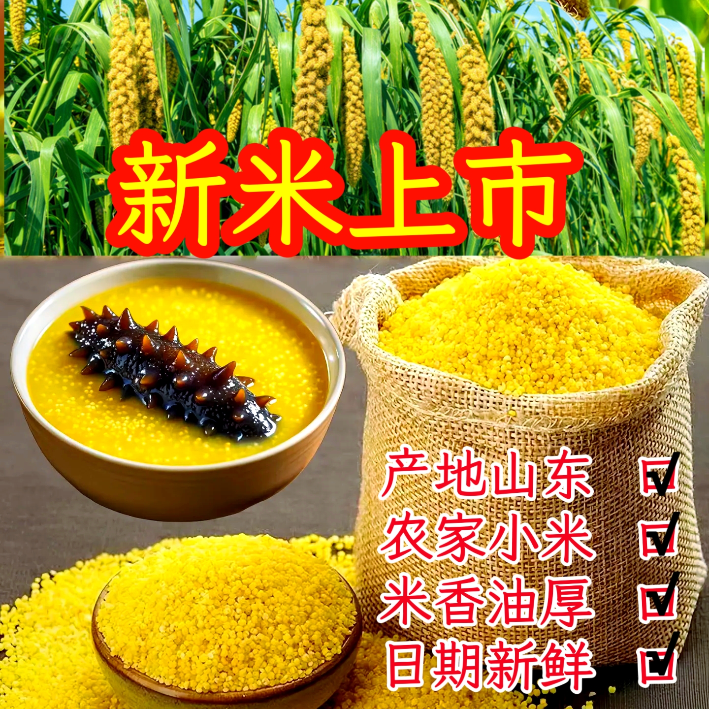 黄小米新米金黄小米熬粥老少皆宜山东特产精选新鲜5斤3斤素真禾谷